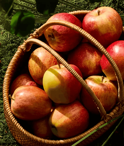 scent of the month: Apple Picking